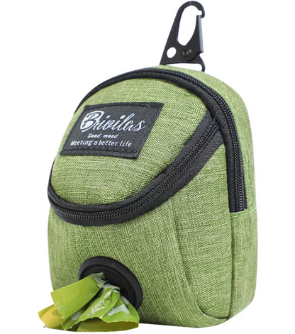 Pet Voyage Fashion Carrier